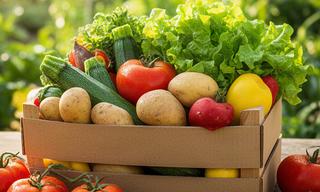 Sommerliche Lebensmittelbox mit Tomaten, Zucchini, Kartoffeln und Salat